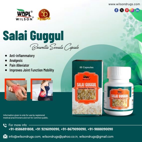 Ashwagandha Capsule & Salai Guggul Capsule Best Ayurvedic Medicine No Side Effects - Image 2