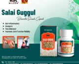 Salai Guggul Capsule Best Ayurvedic Medicine For Anti-inflammatory, Analgesic, Pain Alleviator, Improves Joint Function Mobility