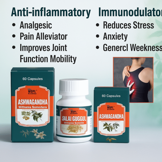 Ashwagandha Capsule & Salai Guggul Capsule Best Ayurvedic Medicine No Side Effects - Image 3